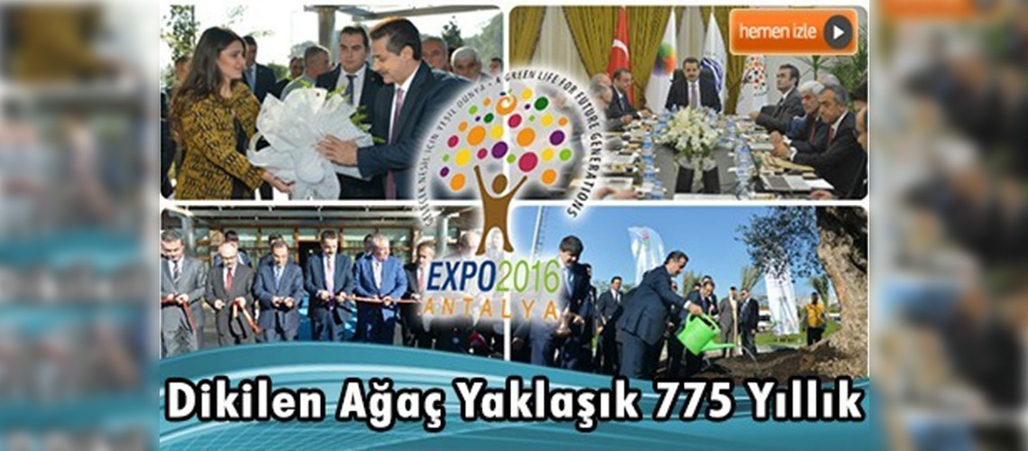 Bakan Çelik, EXPO 2016 Antalya alanına ağaç dikti