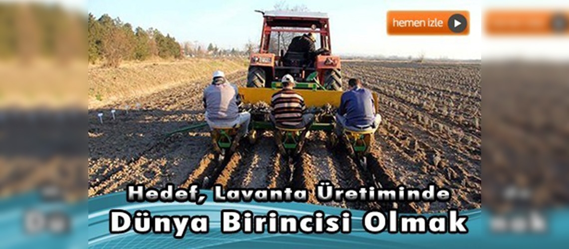 ''Trakya, Türkiye'nin lavanta bahçesi olacak''