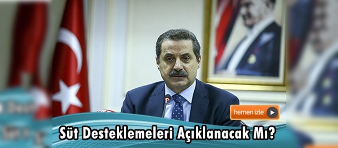 Bakan Çelik soruları yanıtladı