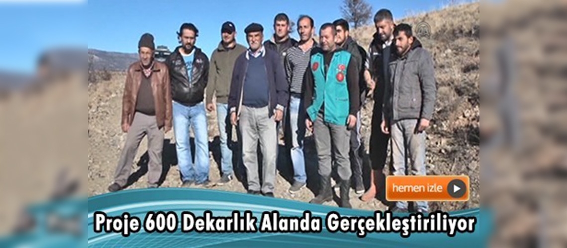 Burdur lavanta kokacak