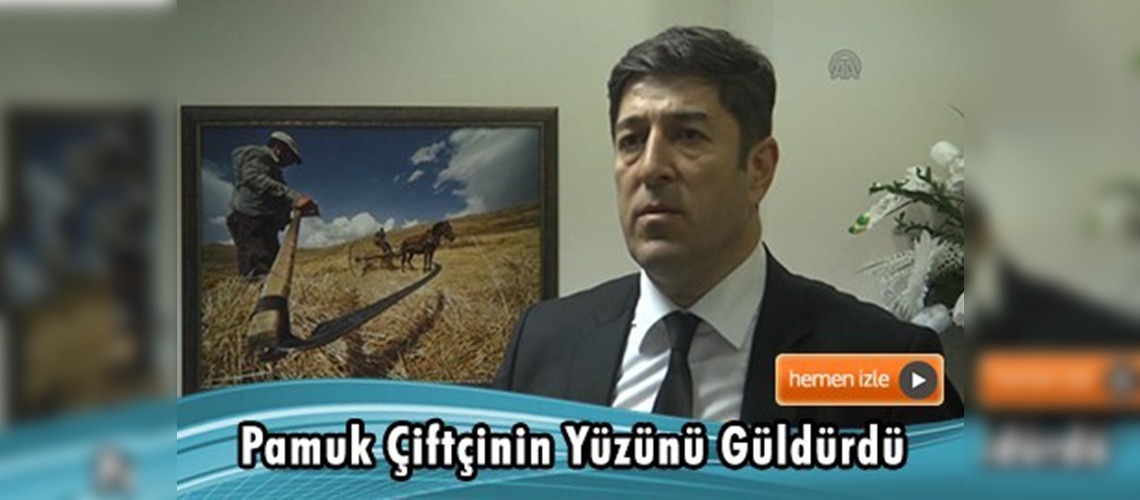 Şanlıurfalı pamuk üreticileri altın yılını yaşadı