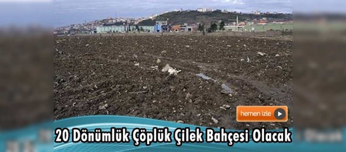 Zonguldak Alaplı'da örnek uygulama