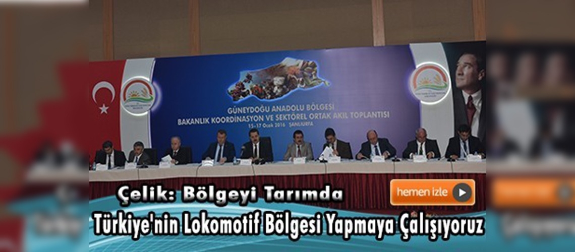 Güneydoğu Anadolu Bölgesi Ortak Akıl Toplantısı