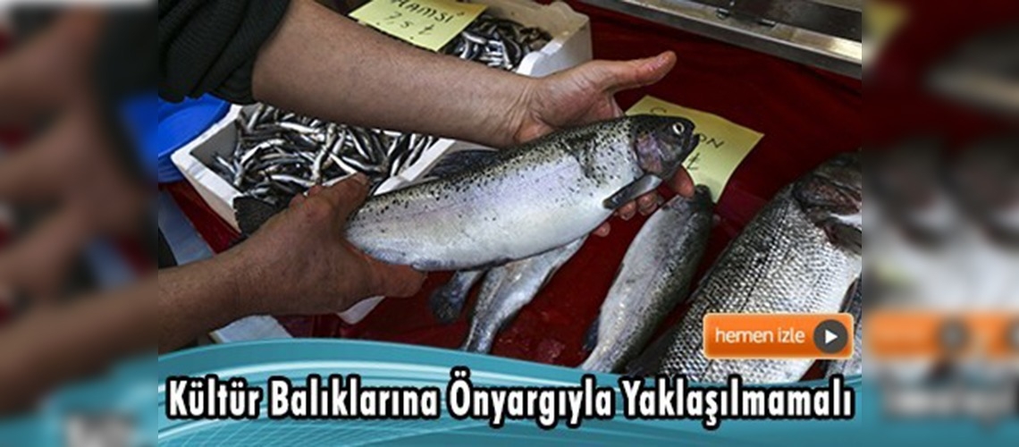Her mevsim aynı lezzet kültür balıkları