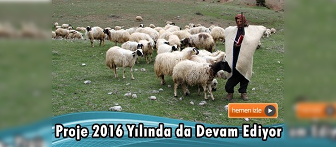 ''Sürü Yönetimi Elemanı Benim'' Projesi 2016 Yılında da Devam Ediyor