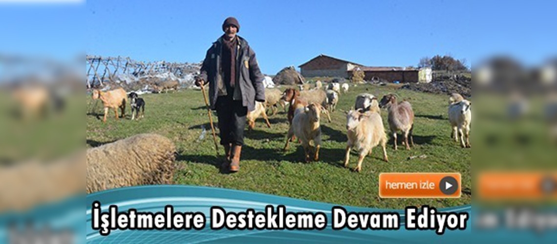 Hayvancılık işletmelerinin umudu sürü yönetimi elemanları