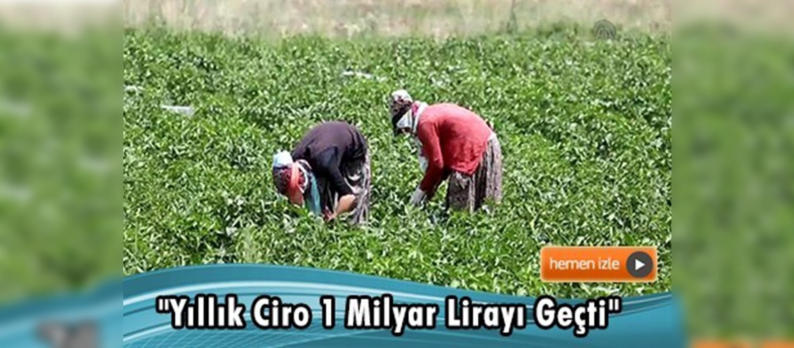 Tarım Kredi 2016'da 74 milyon lira yatırım yapacak