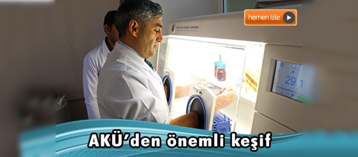 Sütte yüzde 60 verim kaybına neden olan bakteri bulundu