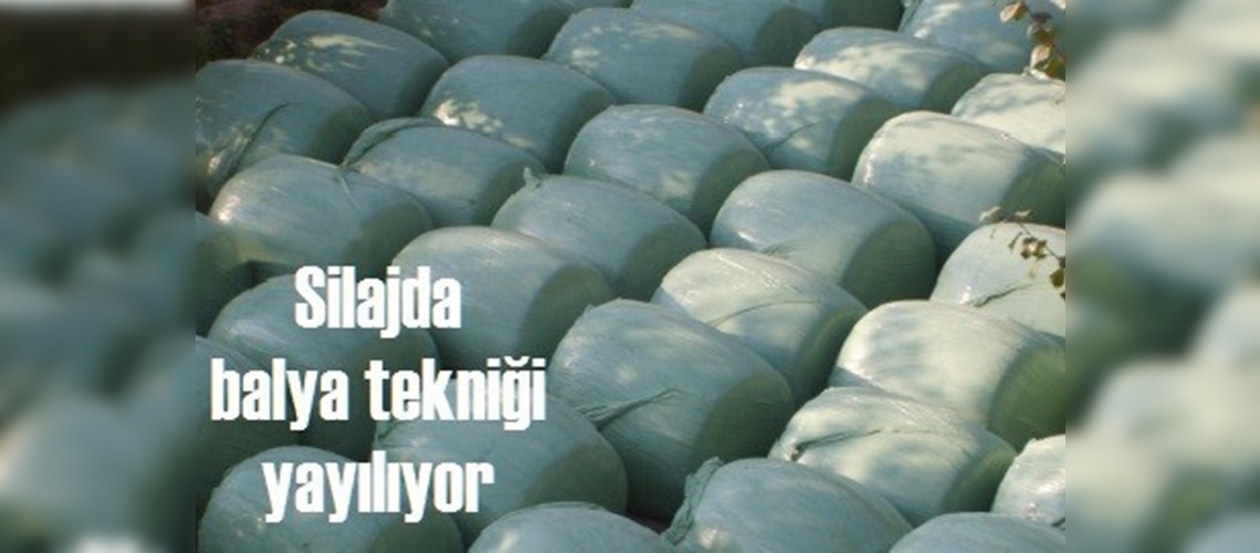 Balya silajı yapım tekniği çiftçilere anlatıldı
