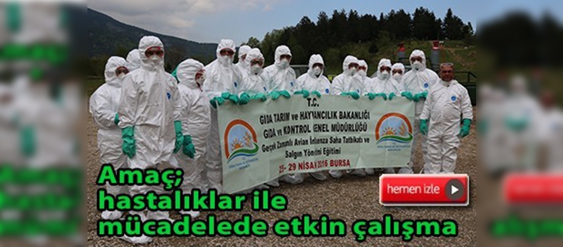 Gerçek zamanlı kuş gribi saha tatbikatı başladı