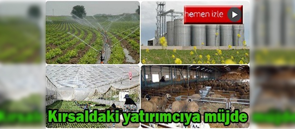 Bakan Çelik'ten kırsaldaki yatırımcıları rahatlatan haber