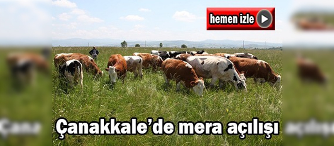 Çanakkale'de ''Mera Islahı ve Yönetimi Projesi''