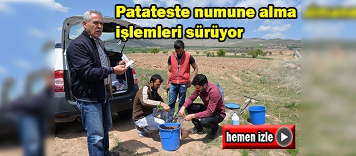 Tohumluk sertifikasyon çalışmalarına devam