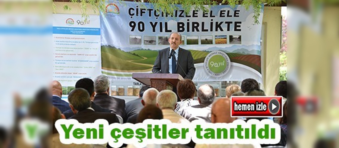 Yeni arpa ve buğday çeşitleri görücüye çıktı