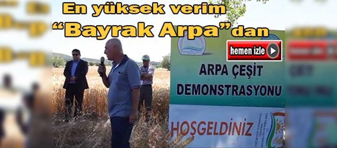 Çanakkale'de ''Yerli Arpa''  hasatı  yapıldı