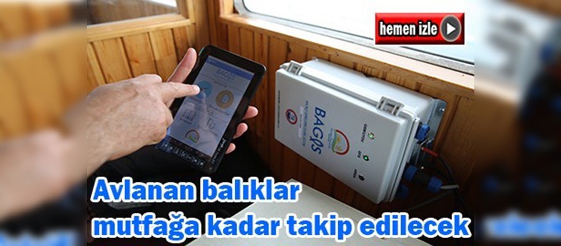 Avlanan balıklar mutfağa kadar takip edilecek