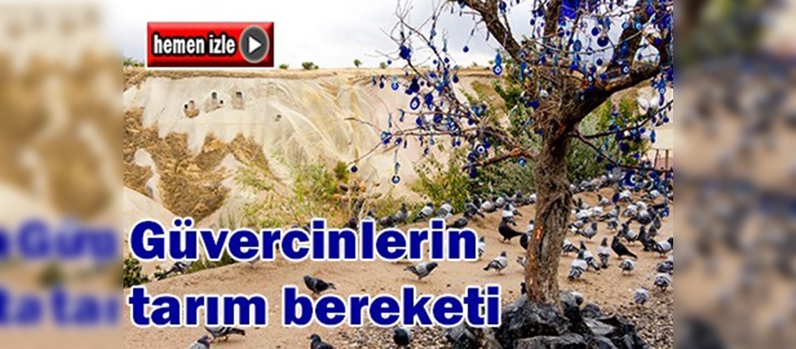 Güvercinlik Vadisi'ndeki güvercinlerin tarım bereketi