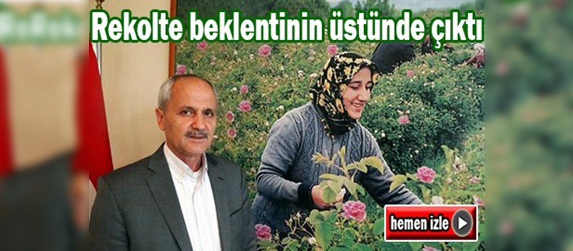 Gül hasatı sona erdi