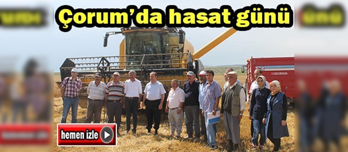 Çorum'da hasat günü etkinliği düzenlendi