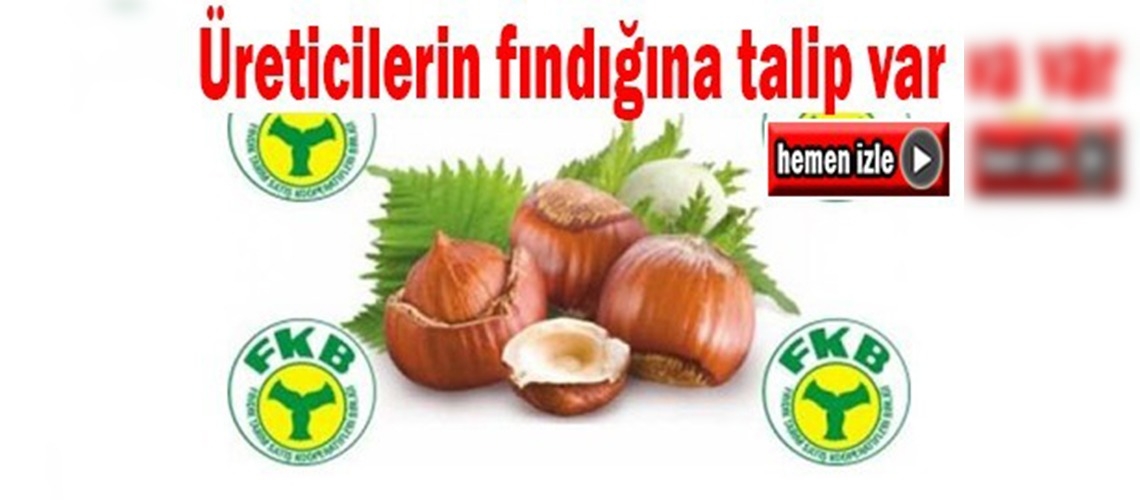 Fındığa talip çıktı