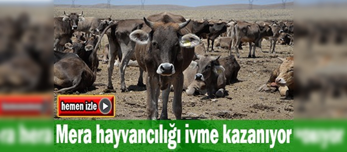 Kayseri'de bir başarı öyküsü