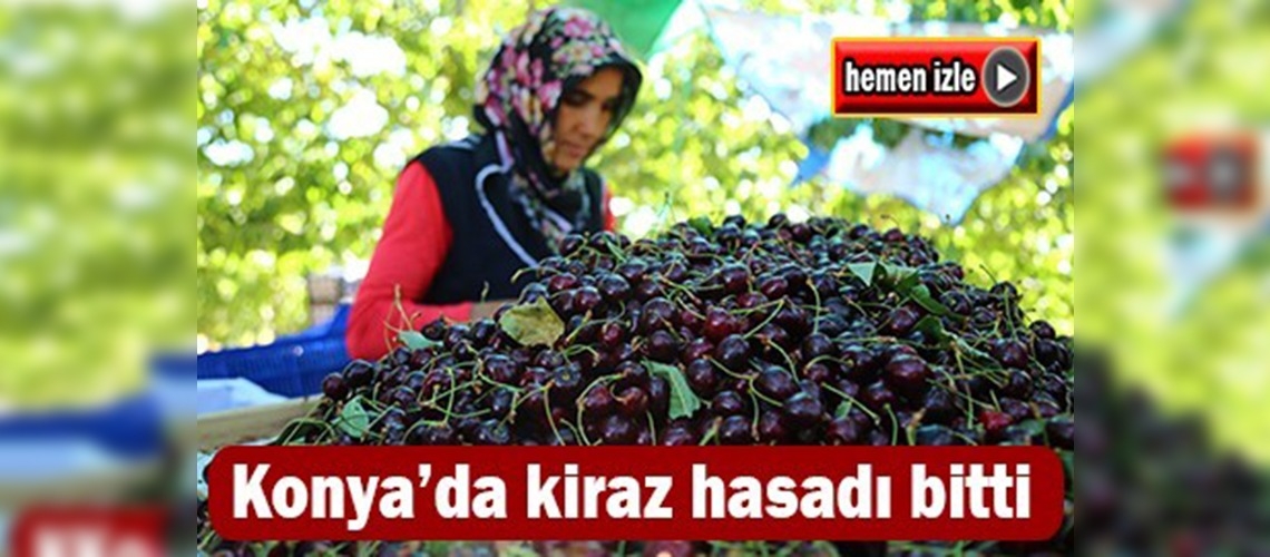 Avrupa ve Ortadoğu Türk kirazına doyacak