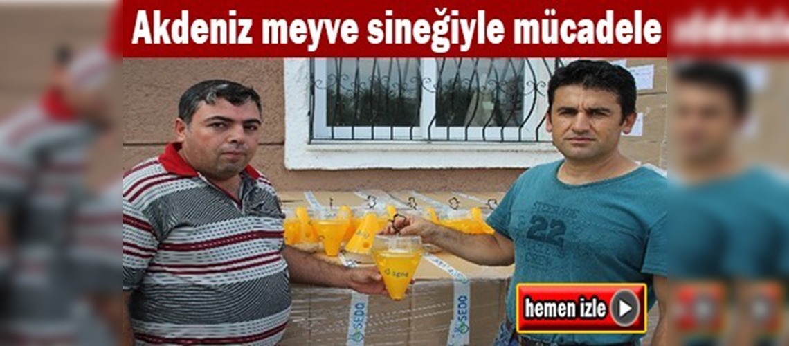 Hatay'da üreticilere meyve sineği tuzakları dağıtıldı