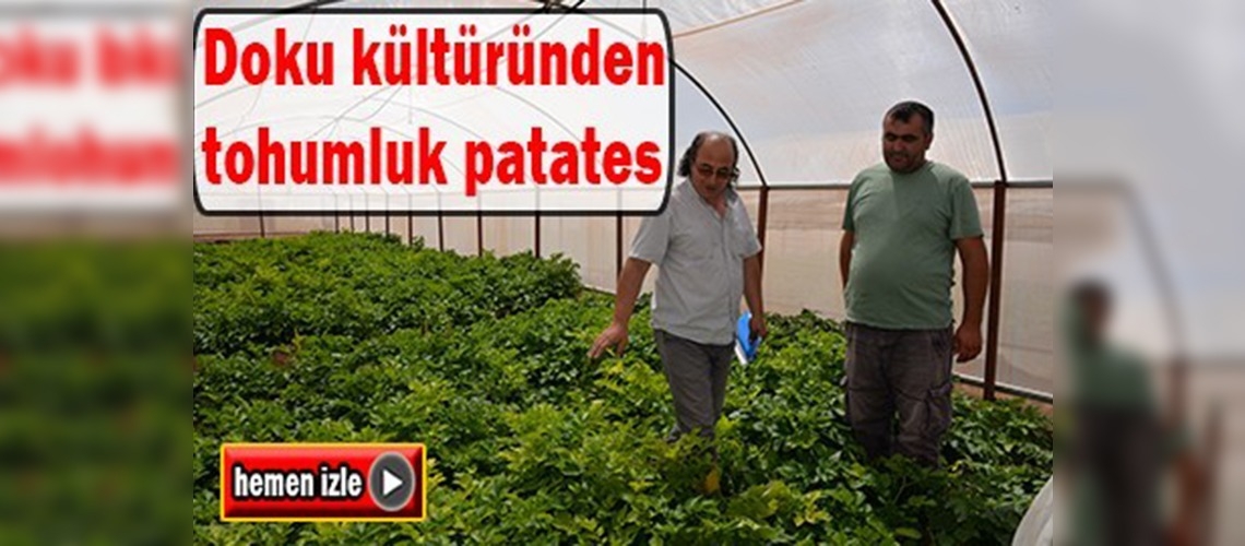 Kayseri'de tohumluk patates yetiştirilen tarlada kontrol