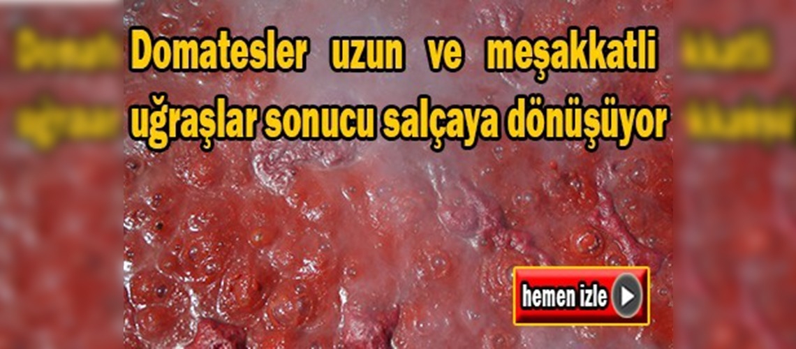 Anadolu kadınının salça mesaisi başladı