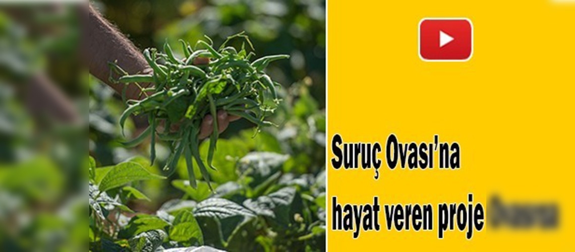 Suruç Ovası'na hayat veren proje