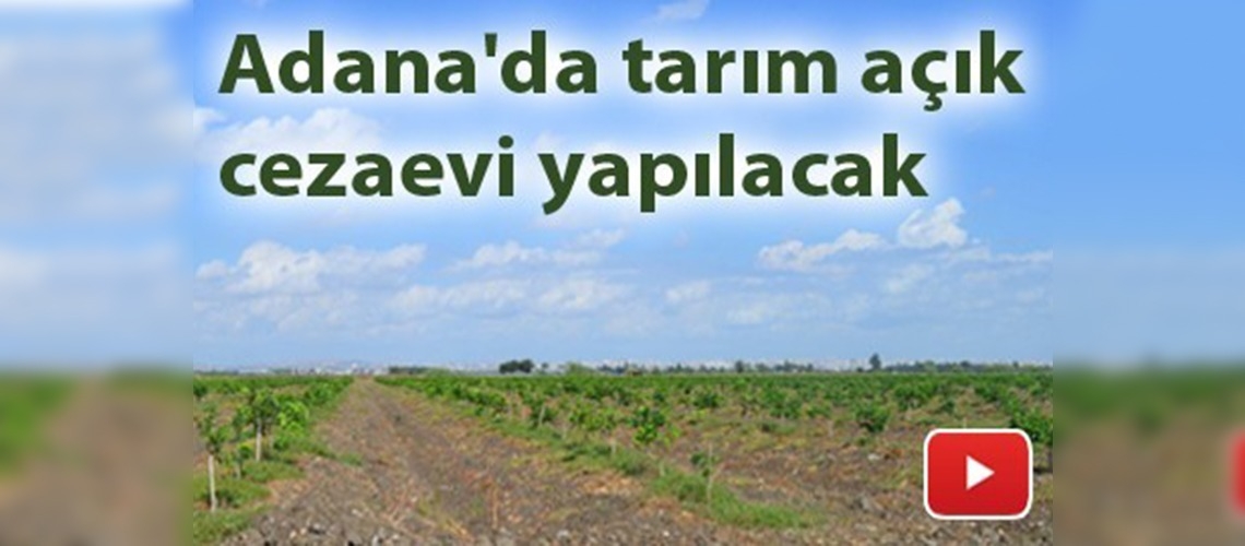 691 Dönüm arazide 500 çiftçi hükümlü bulunacak