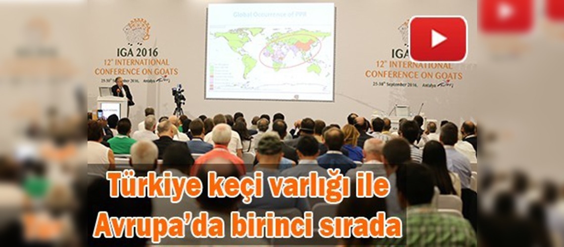 ''12. Uluslararası Keçicilik Konferansı'' Antalya'da başladı