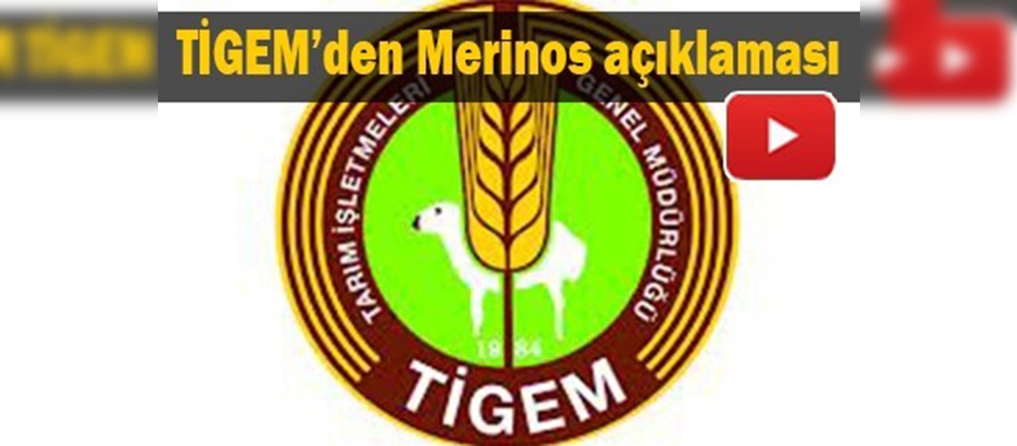 ''Koyun ithalatı yok''