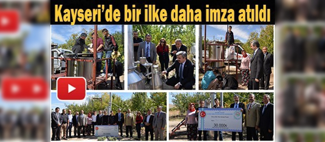 Lavanta yağı için distilasyon ünitesi kuruldu