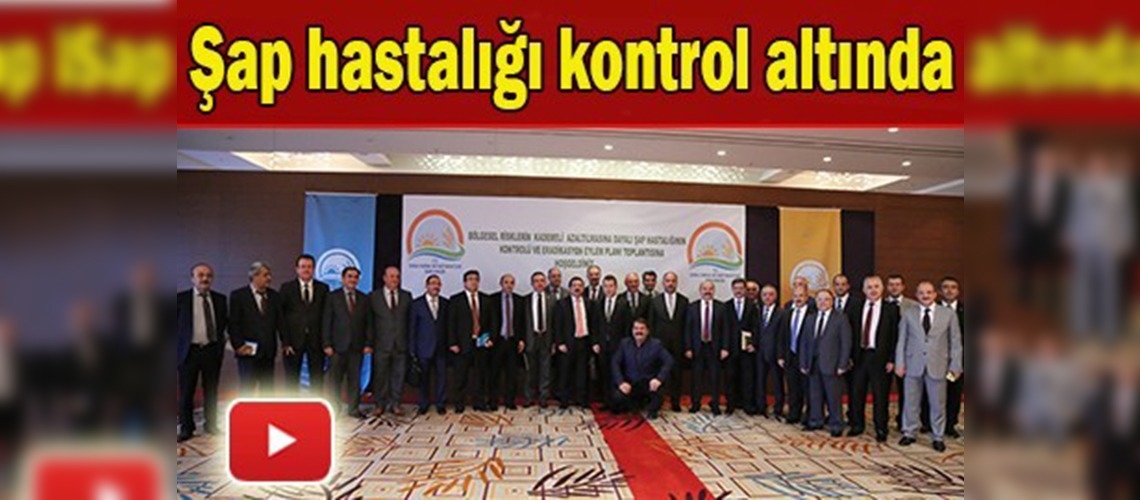 Şap hastalığı kontrol altında