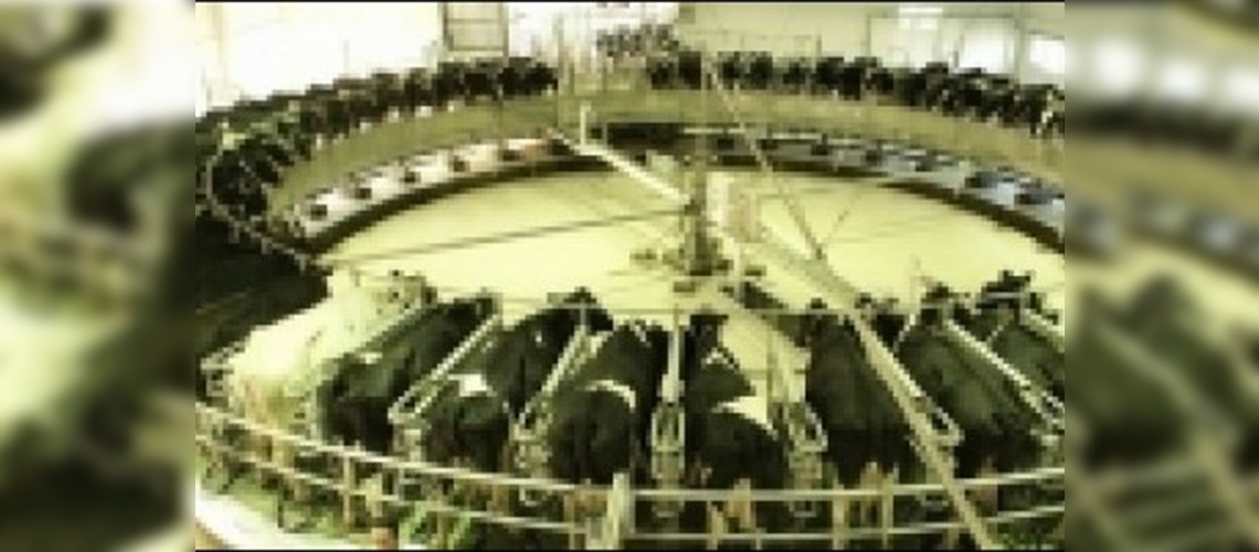 Borçlarını süt vererek ödeyecekler