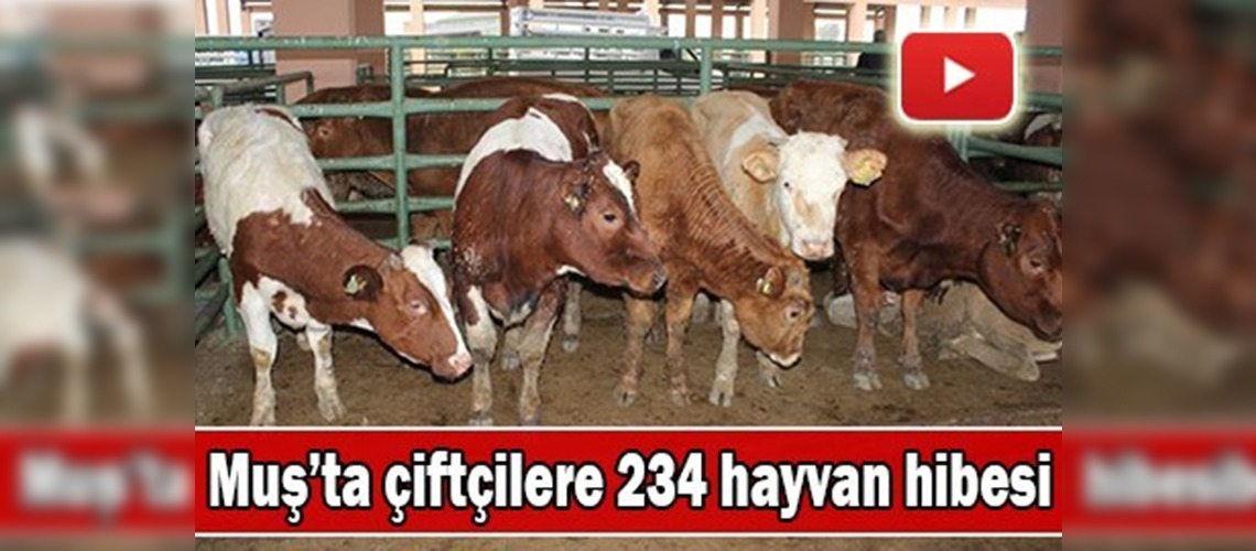 Genç çiftçiler hayvanlarını teslim aldı