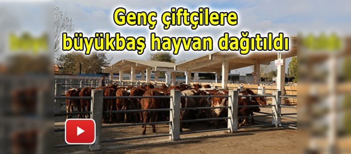 Bursalı genç çiftçiler desteklenmeden faydalandı