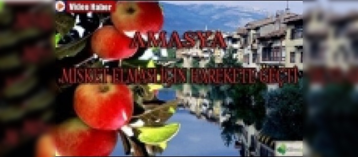 Ağaçlar her yıl meyve verecek