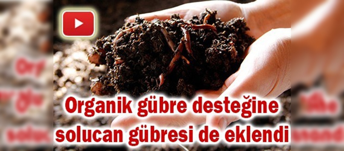 Solucan gübresi üretimine standart geliyor 