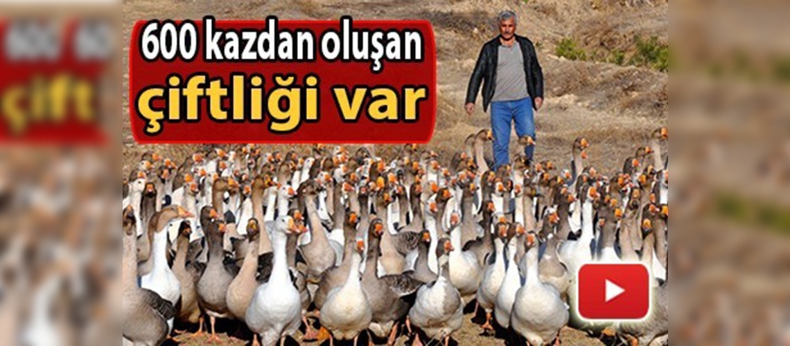 İki kazla başladı, çiftlik kurdu