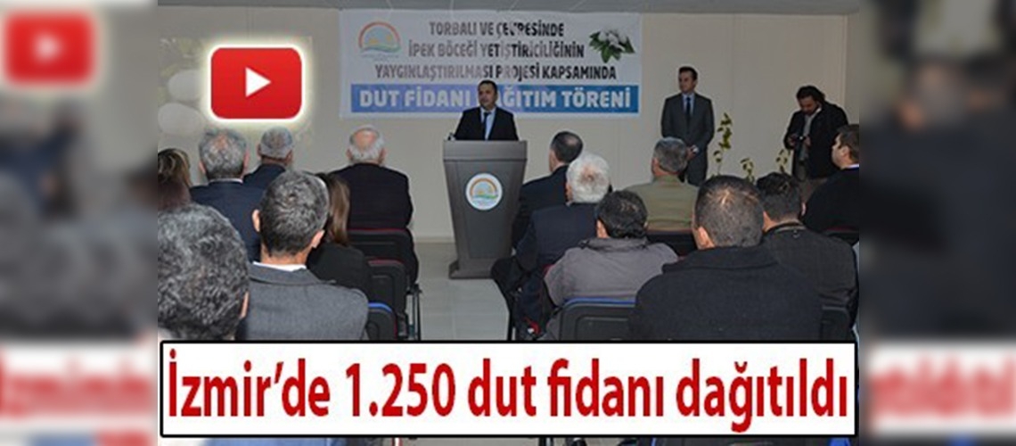 İpek böceği yetiştiricilerine 1.250 dut fidanı dağıtıldı