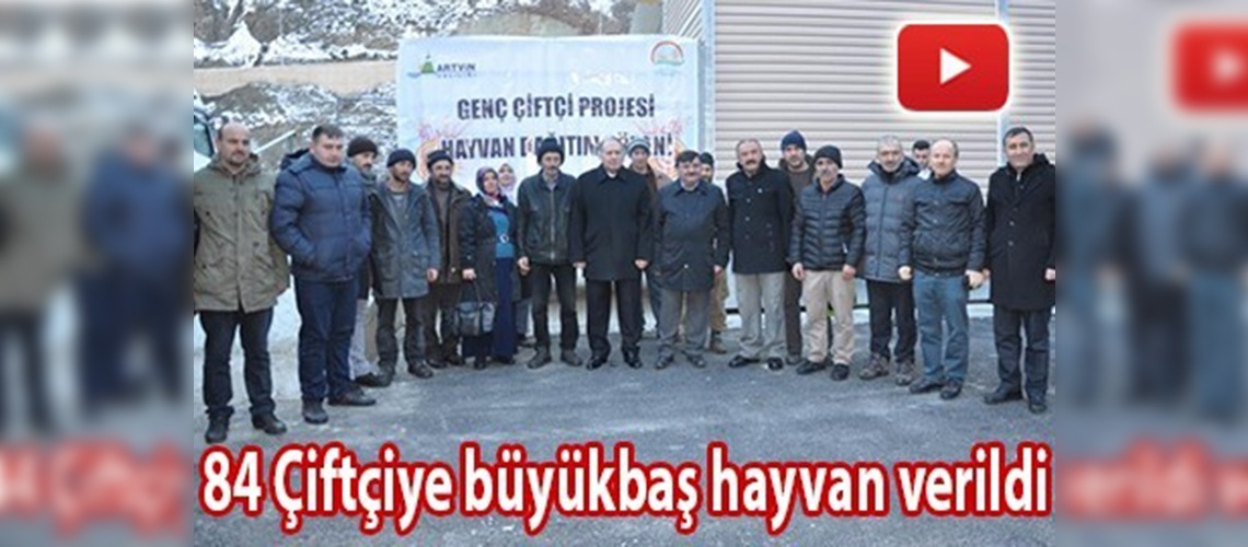 Artvin'de büyükbaş hayvan dağıtıldı