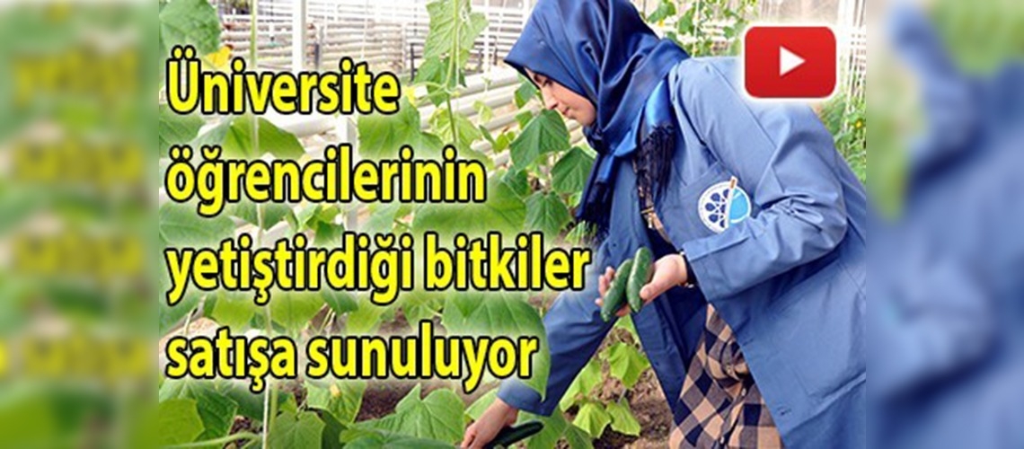 Kampüste bitki satışına talep yoğun