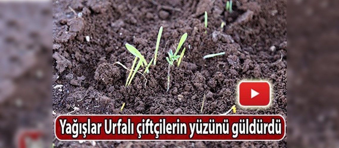 Güneydoğu'da şiddetli  yağışlar etkili