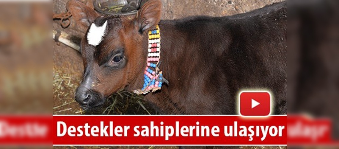 Genç Çiftçi Projesi yüzleri güldürüyor