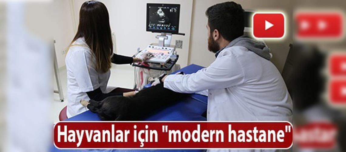 Hayvanlar için ''modern hastane''