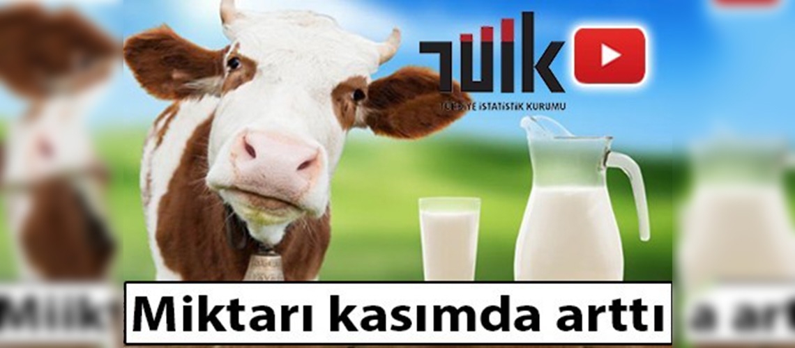 Süt üretiminde 5,8'lik artış