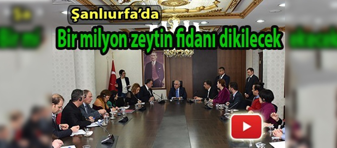 ''GAP'ın merkezinde'' zeytin atağı