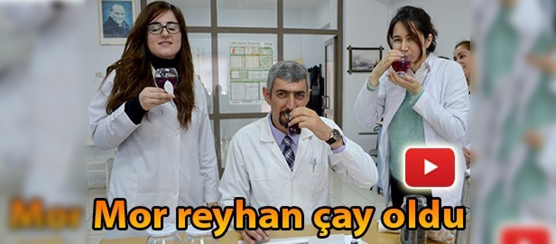 Mor reyhan çay oldu
